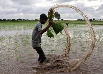 Válka v Íránu a El Niño tlačí na potraviny i plyn