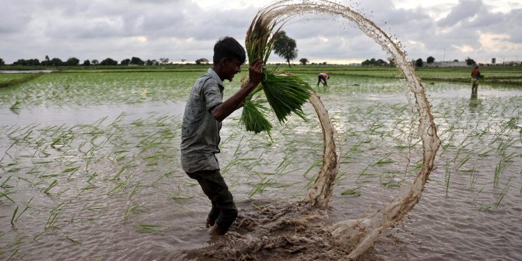Válka v Íránu a El Niño tlačí na potraviny i plyn